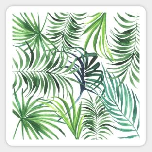 Leaves Floral Palms Tropical Jungle Magnet